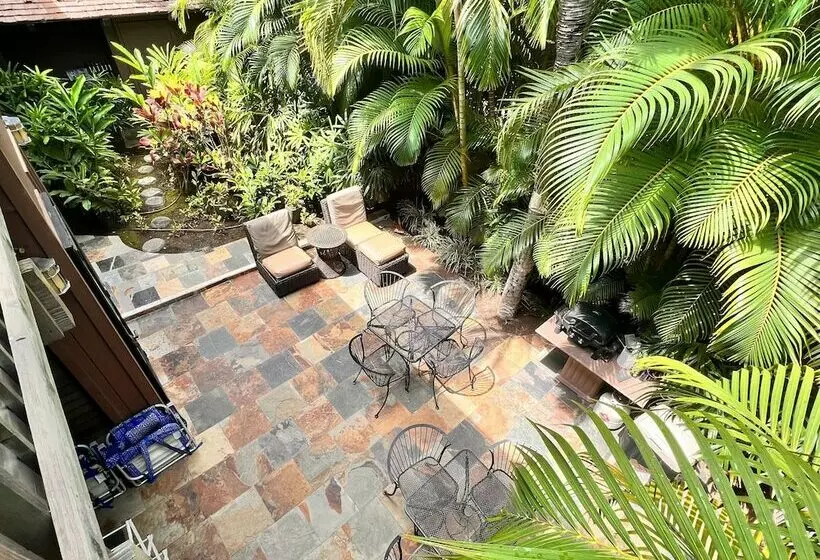 تختخواب و صبحانه Papaya Suite