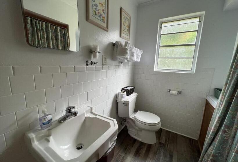 Budget Friendly Queen Studio With Full Kitchen, Two Queen Beds And Sleeper Sofa By Redawning