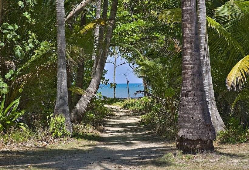 Daintree Beach Resort