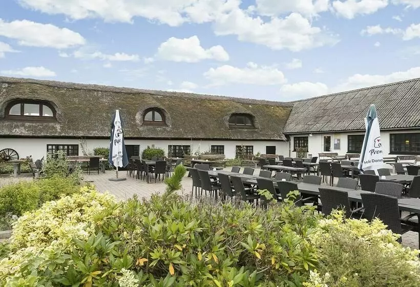 First Camp Klim Strand   Nordvestkysten