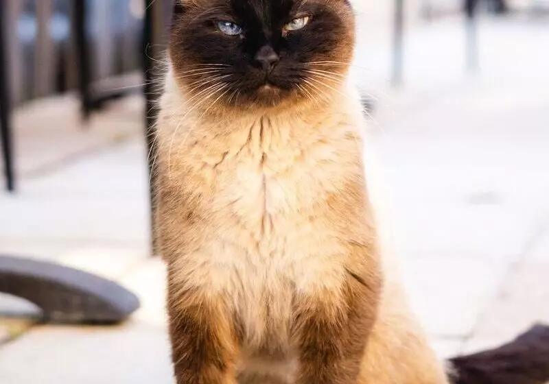 ホテル Le Domaine Du Terroir