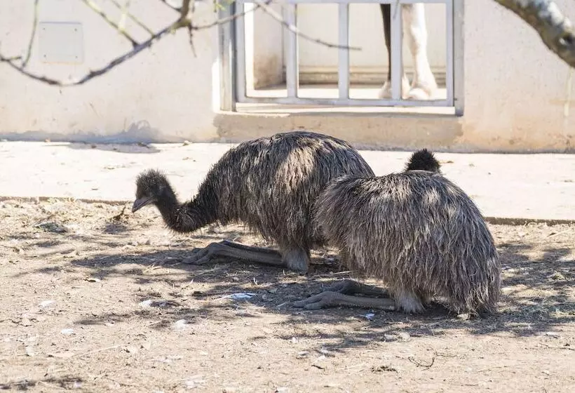 田舎風ホテル Borgo Segine