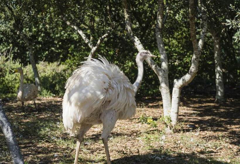 Hotel wiejski Borgo Segine