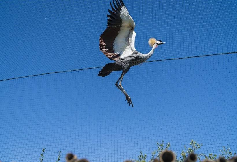 Hotel wiejski Borgo Segine
