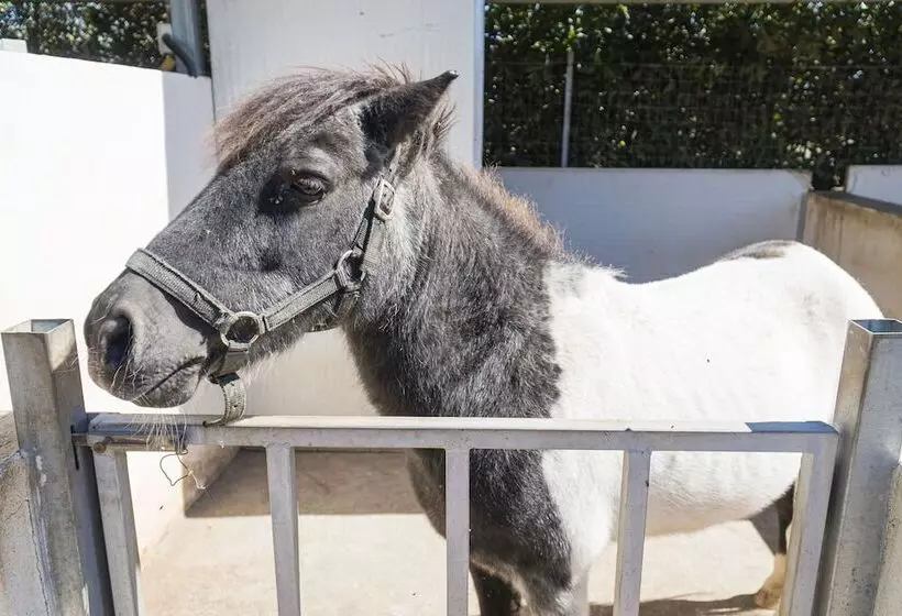 田舎風ホテル Borgo Segine