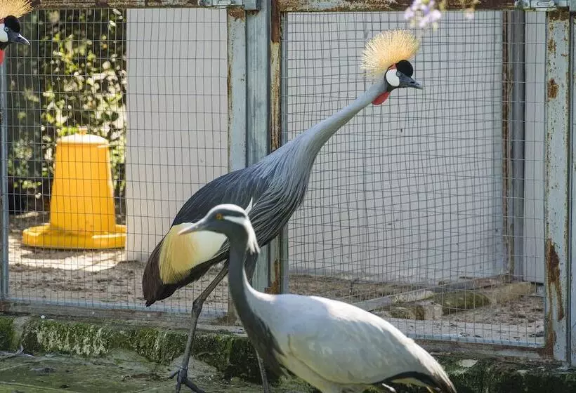 田舎風ホテル Borgo Segine