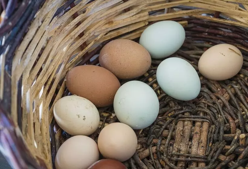 田舎風ホテル Borgo Segine