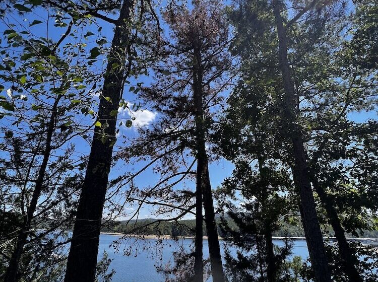 Lake View Two Bedroom, Two Bath Loft, Log Sided Cottage With Private Hot Tub Overlooking Lake Ouachi