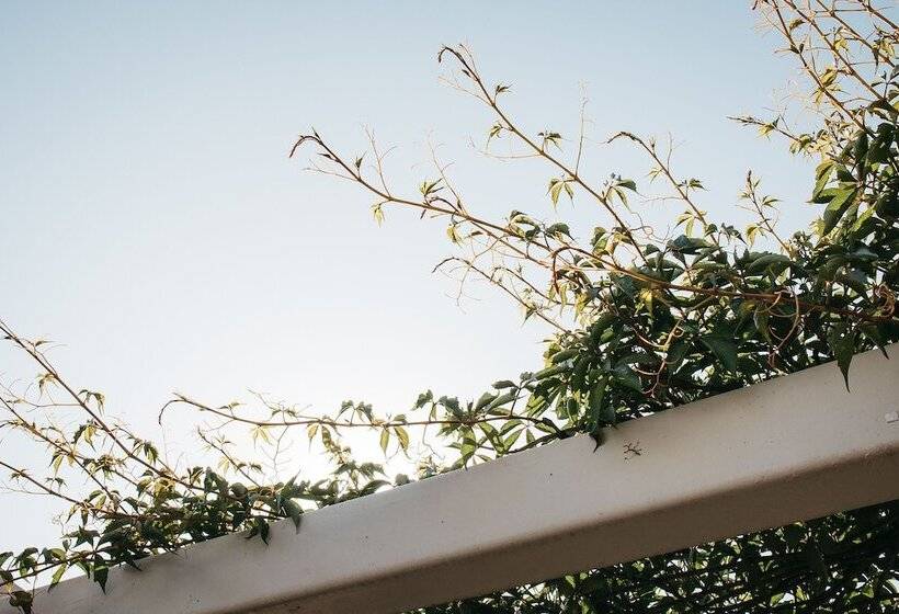 Pensione Banksia By The Bay