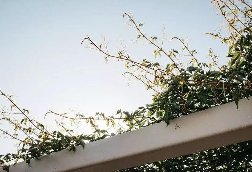 ペンション Banksia By The Bay