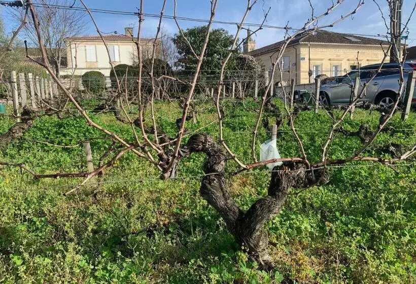 Majatalo Château Papounan