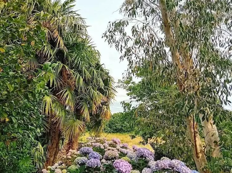 Majatalo Le Manoir De Kérofil  Gîte Et Chambres D Hôtes