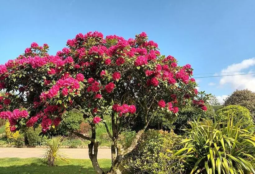 Majatalo Le Manoir De Kérofil  Gîte Et Chambres D Hôtes
