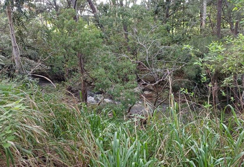 ペンション Room In Guest Room Cozy Room With Separate Entrance And Ensuit Bathroom