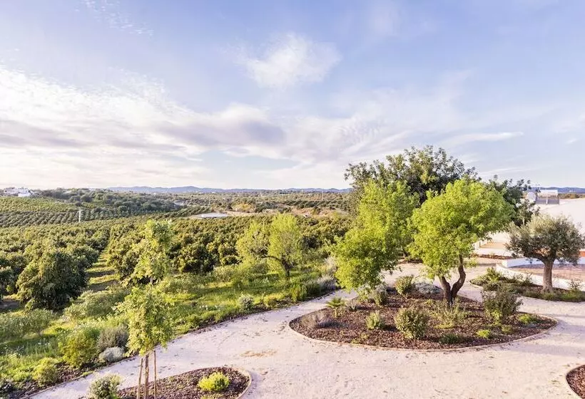 リゾートホテル Quinta Da Baleeira