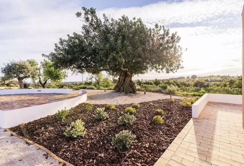 リゾートホテル Quinta Da Baleeira