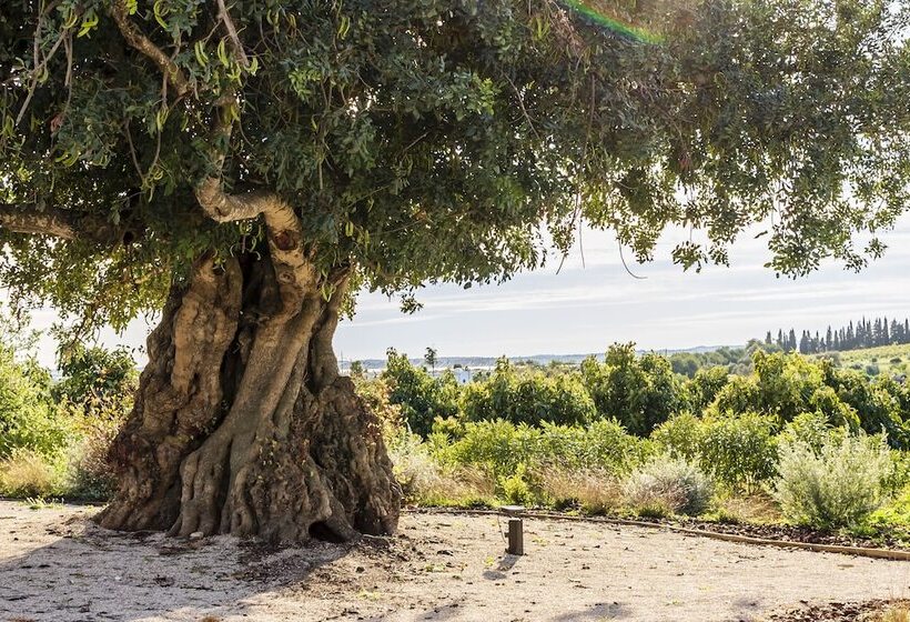 منتجع Quinta Da Baleeira