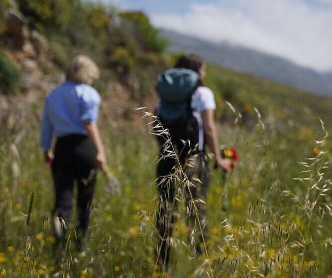 Stella Village   Junior Studio Sea View