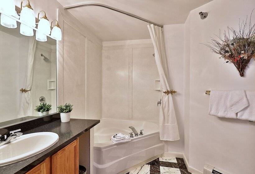 The Birch Ridge  Family Room #6   Queen Bunkbed Suite In Killington, Vermont Hotel Room