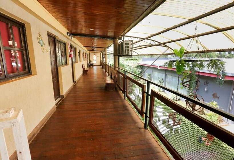 Apart Hotel Las Violetas