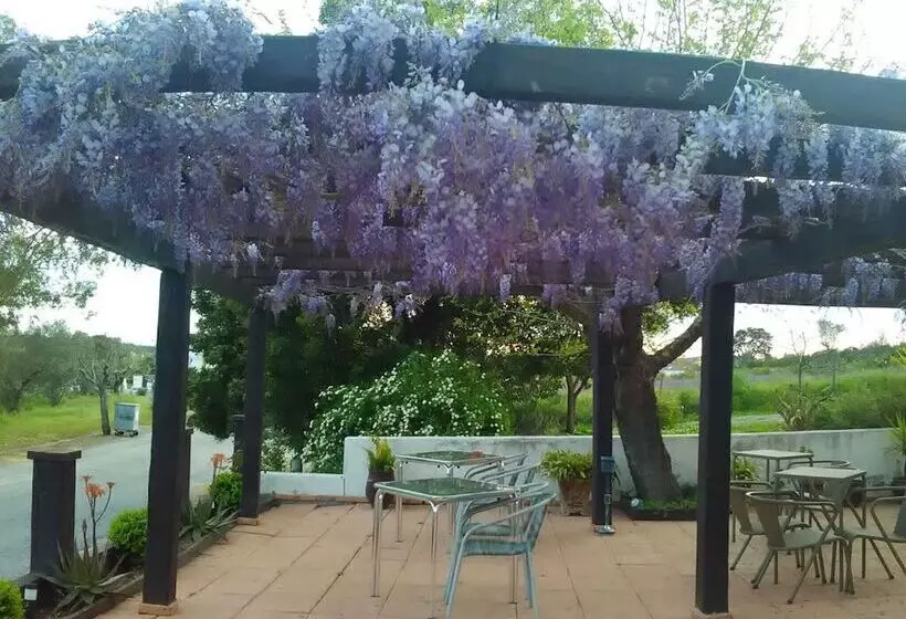 ホテル Das Termas