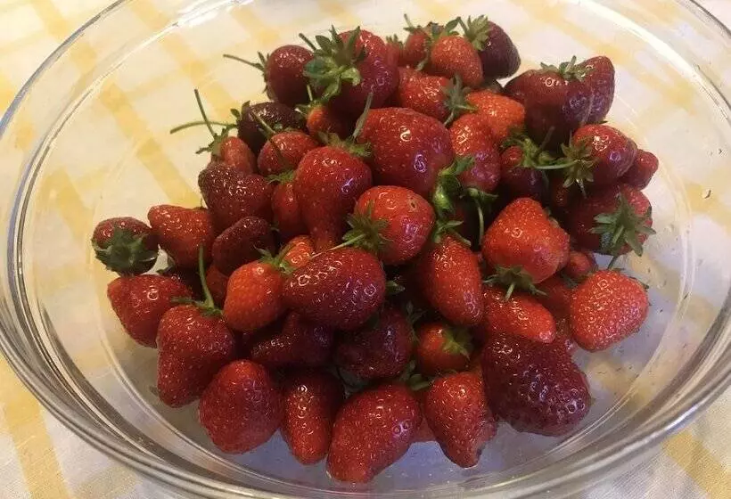 田舎風ホテル Fuccioli Ii