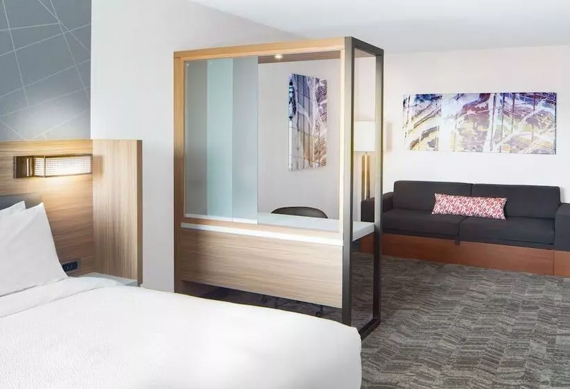 ホテル Springhill Suites By Marriott Columbia Near Fort Jackson