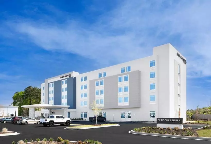 ホテル Springhill Suites By Marriott Columbia Near Fort Jackson
