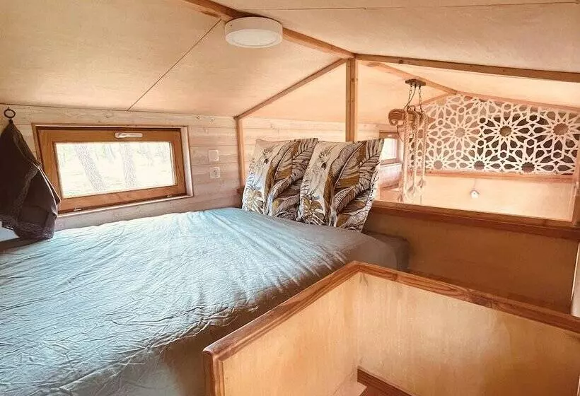 ホテル Tiny Stay Ecolodge