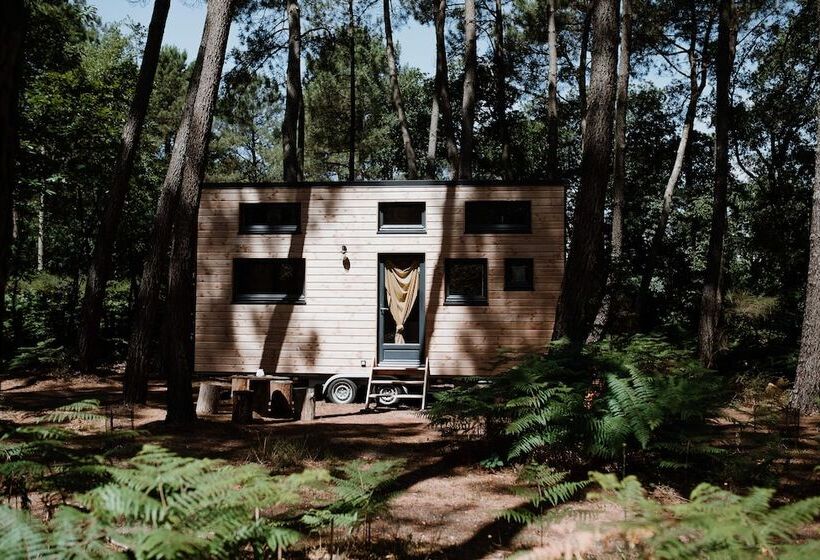 فندق Tiny Stay Ecolodge