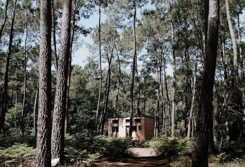 ホテル Tiny Stay Ecolodge