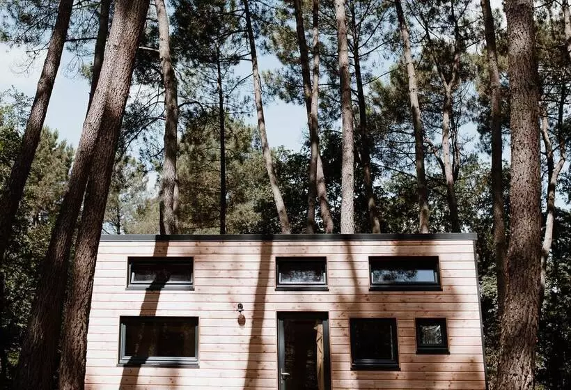 ホテル Tiny Stay Ecolodge