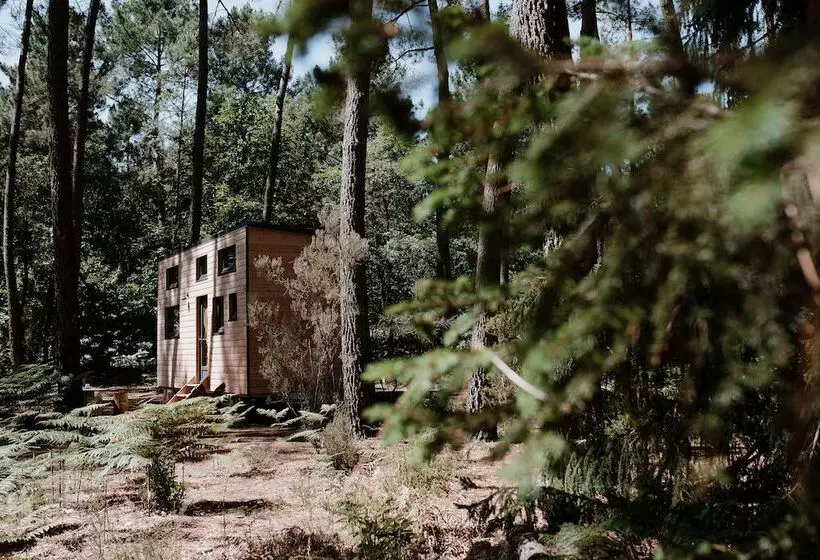 ホテル Tiny Stay Ecolodge