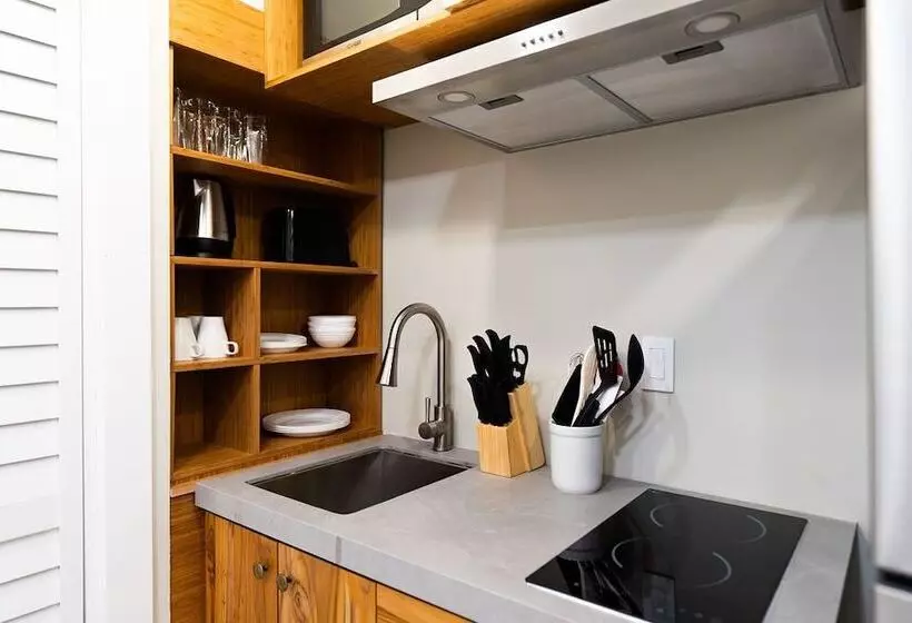 Miami Vibes In East Little Havana