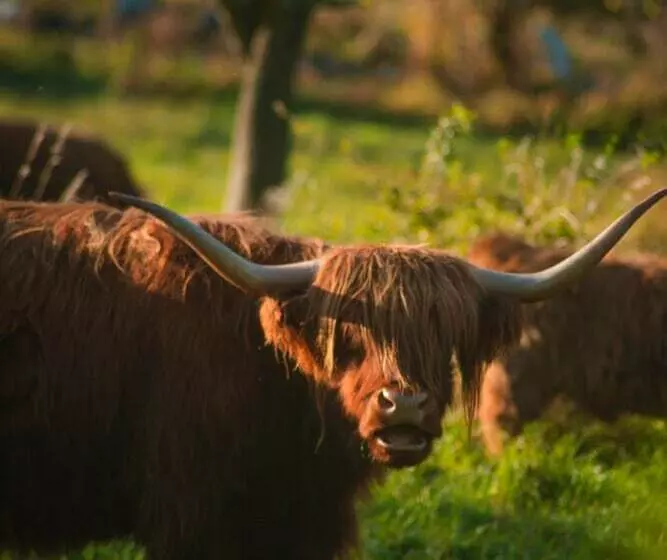 Majatalo Infinity Mountview