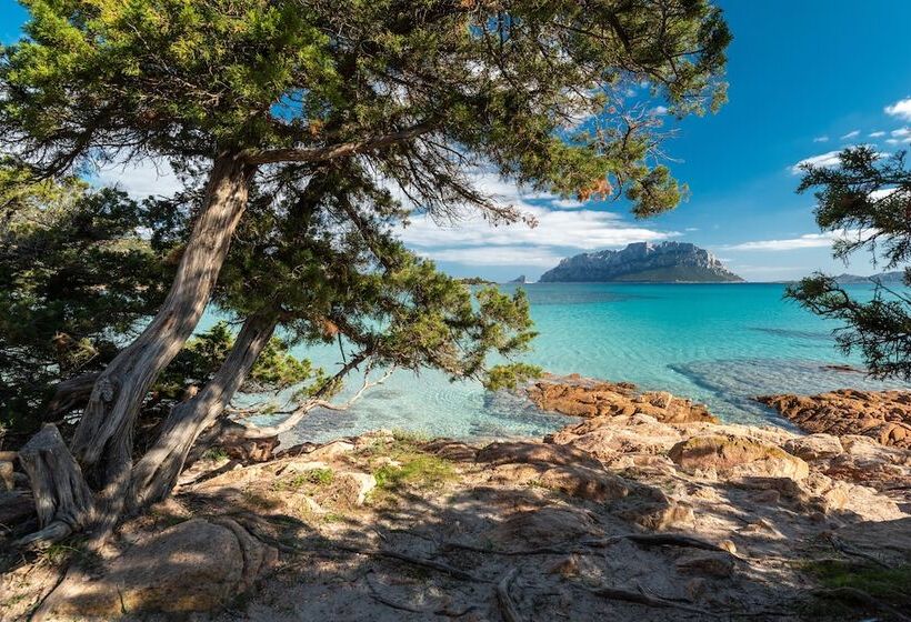 레지던스 Il Girasole