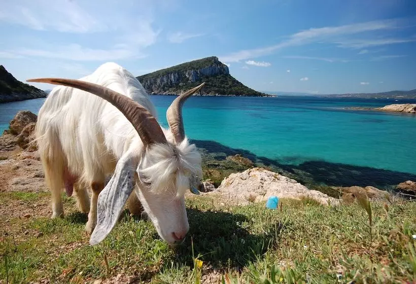 Residenssi Il Girasole