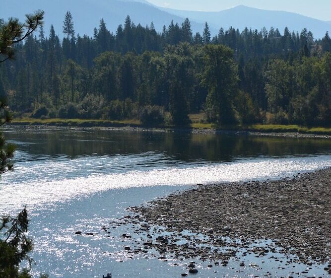 Eagles  Nest Bed And Breakfast