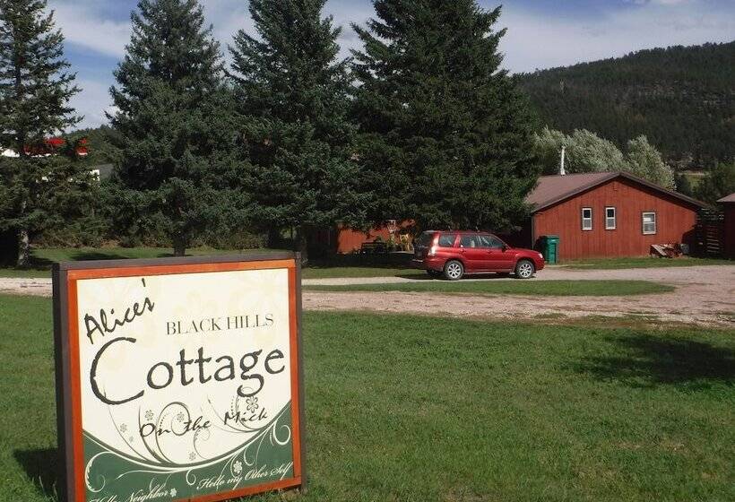 Alice S Black Hills Cottage