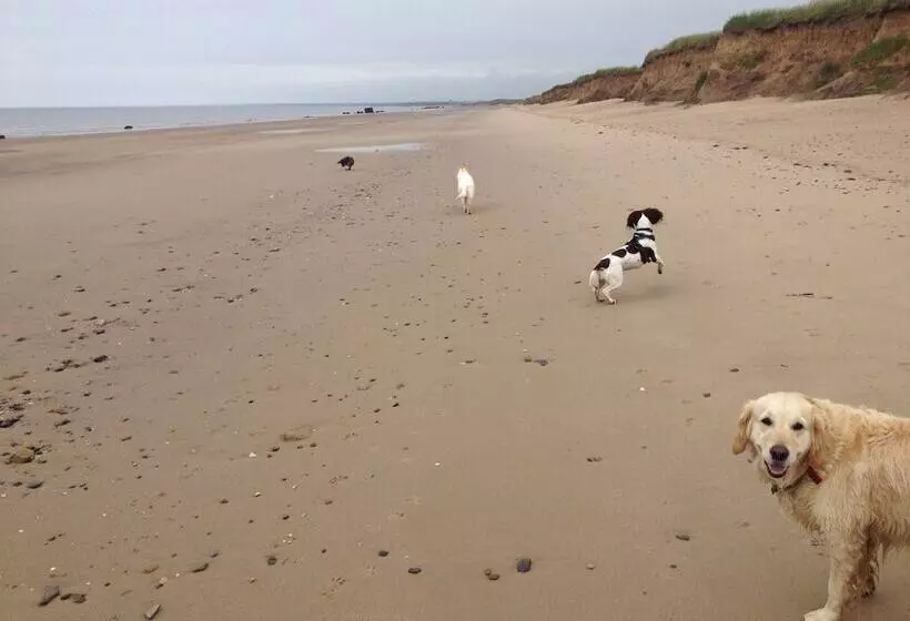 Cosy Dog Friendly Cottage, Sleeps 4, Bridlington