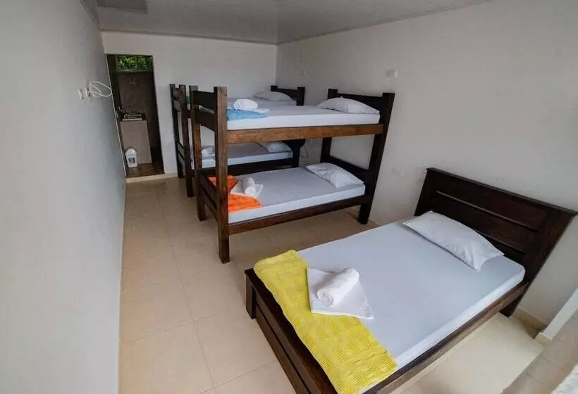 ホテル La Manigua Hostal