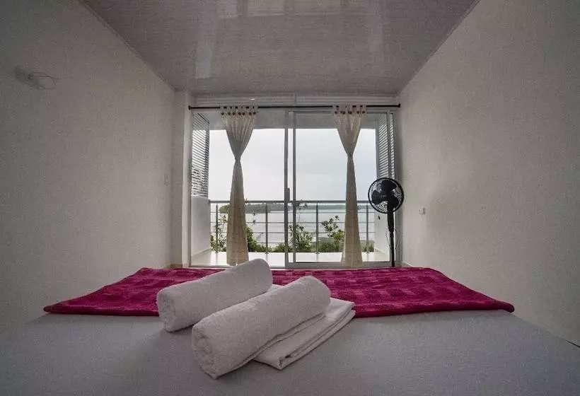 ホテル La Manigua Hostal