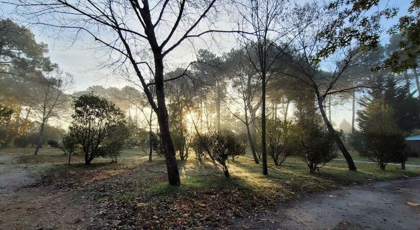 בית מלון כפרי Les Ourmes