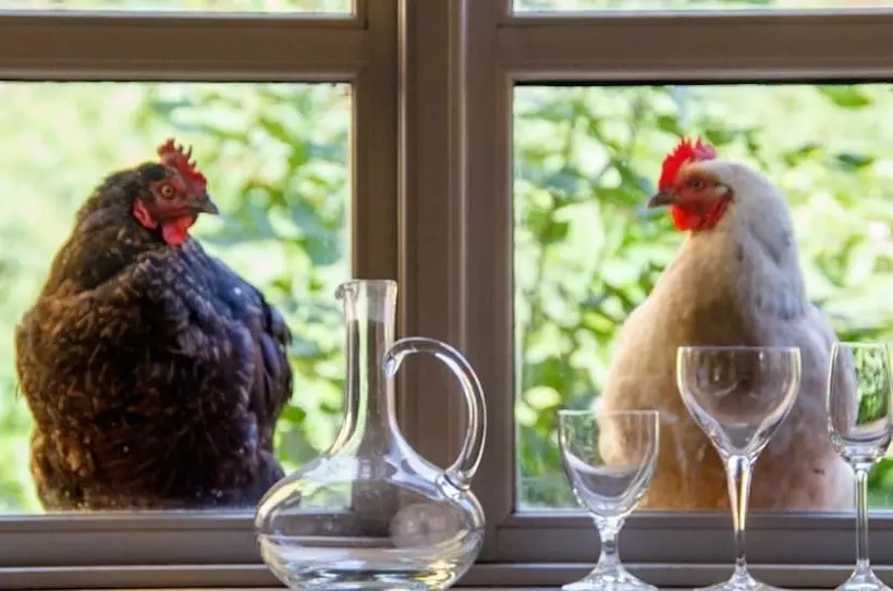 ホテル Lindenhof Chezartistes