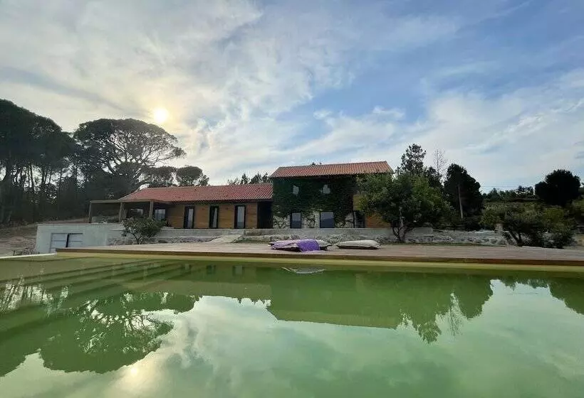 Maaseutuhotelli Casas Do Pinheiro Grande