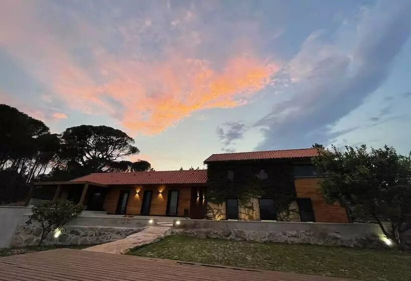 Maaseutuhotelli Casas Do Pinheiro Grande