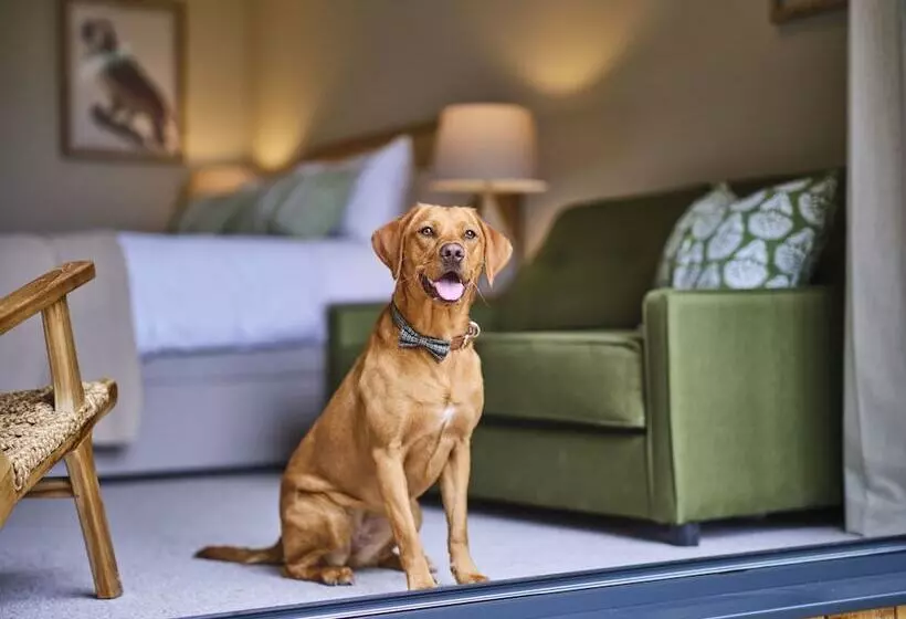 Hotelli The Weeping Willow