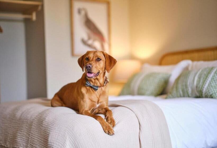 酒店 The Weeping Willow