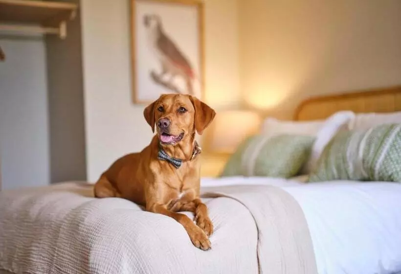 Hotelli The Weeping Willow