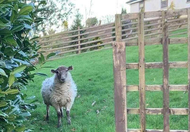 Residência Beautiful House In The Forest Of Dean Countryside